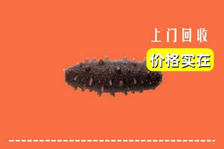 米东区回收海参