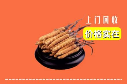 米东区回收冬虫夏草