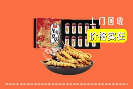 米东区回收虫草